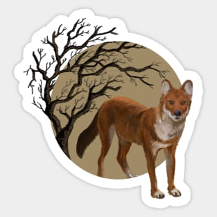 Dhole Sticker